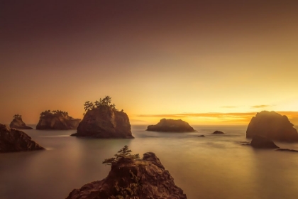 Picture of GOLDEN EVENING AT SECRET BEACH