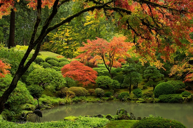 Picture of UPPER POND IN AUTUMN