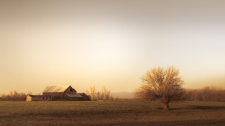 Picture of BARN AT THE END OF THE ROAD I