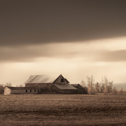 Picture of BARN AT THE END OF THE ROAD II