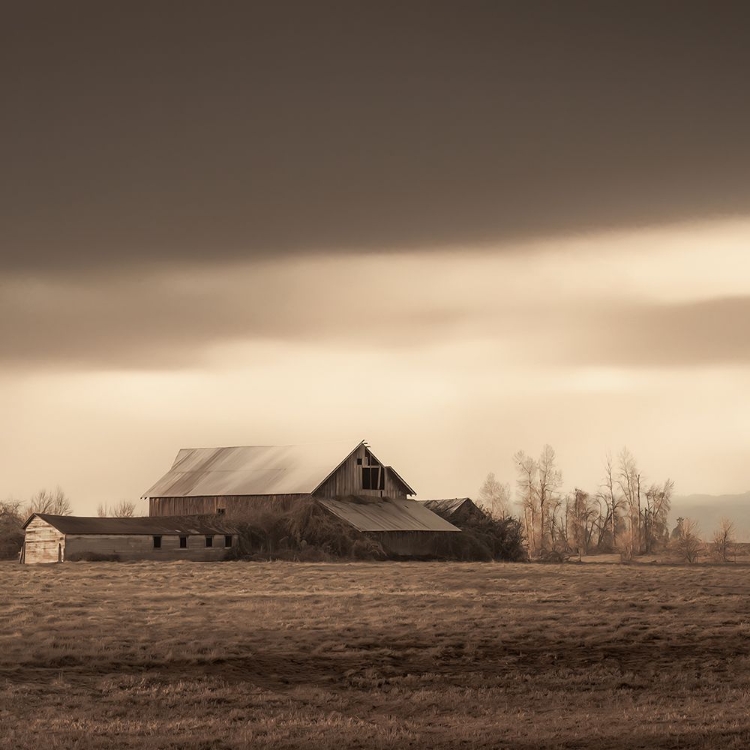 Picture of BARN AT THE END OF THE ROAD II