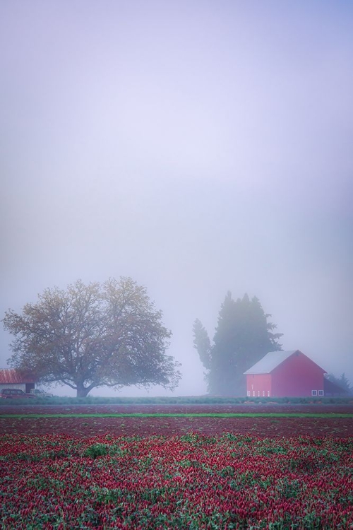 Picture of LITTLE BARN BEYOND THE CLOVER