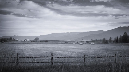 Picture of VALLEY MORNING