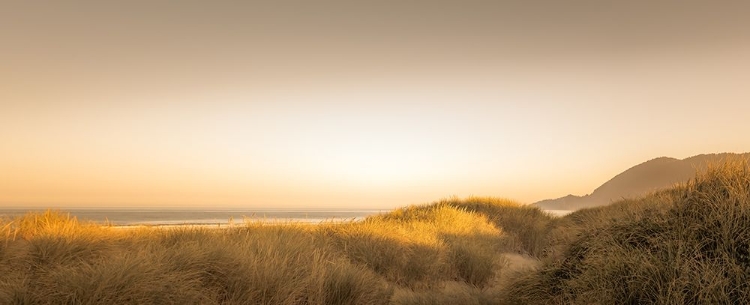 Picture of SUNLIT DUNES