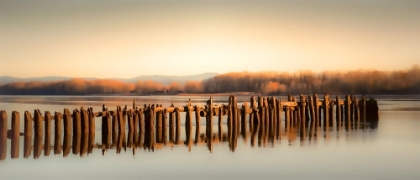 Picture of LATE AUTUMN ALONG THE RIVER