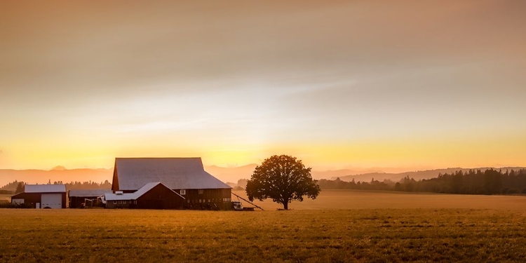 Picture of RED BARN AT SUNDOWN