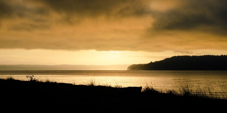 Picture of VASHON ISLAND SUNRISE