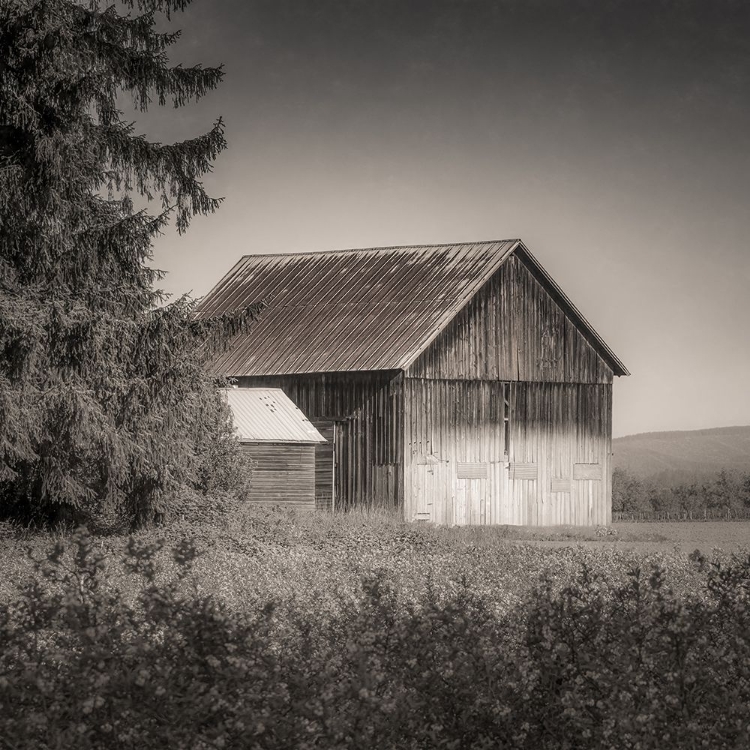 Picture of COUNTRY BARN