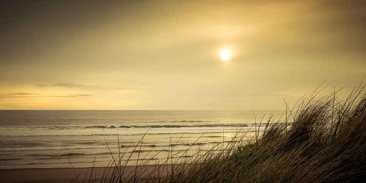 Picture of SWEEPING DUNES