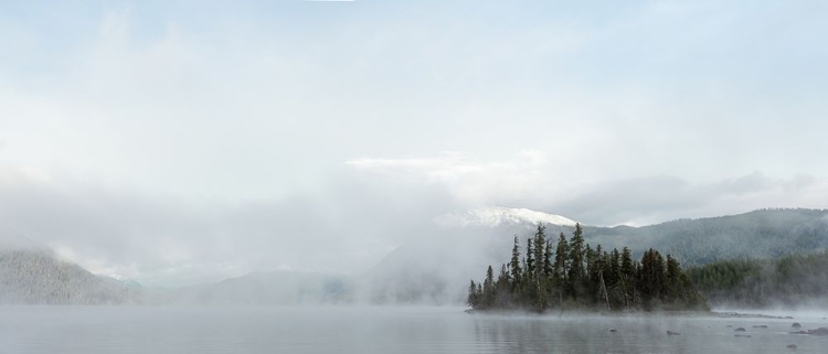 Picture of MIST AND SNOW