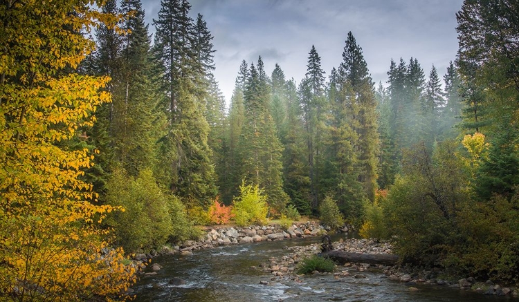 Picture of CURVE IN THE CREEK