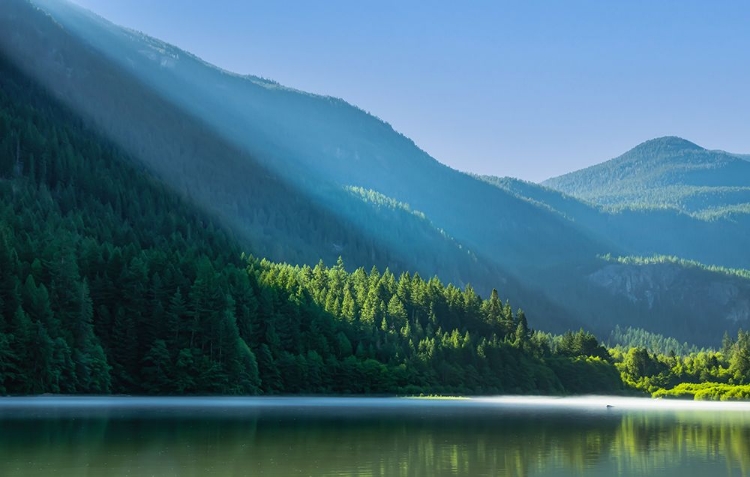 Picture of MORNING RAYS STREAK ACROSS THE MOUNTAINSIDE I