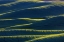 Picture of ROLLING HILLS OF WHEAT FROM STEPTOE BUTTE NEAR COLFAX-WASHINGTON STATE-USA