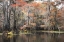 Picture of BAYOU AUTUMN I