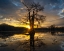 Picture of BAYOU SUNRISE I