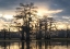 Picture of BAYOU SUNRISE III