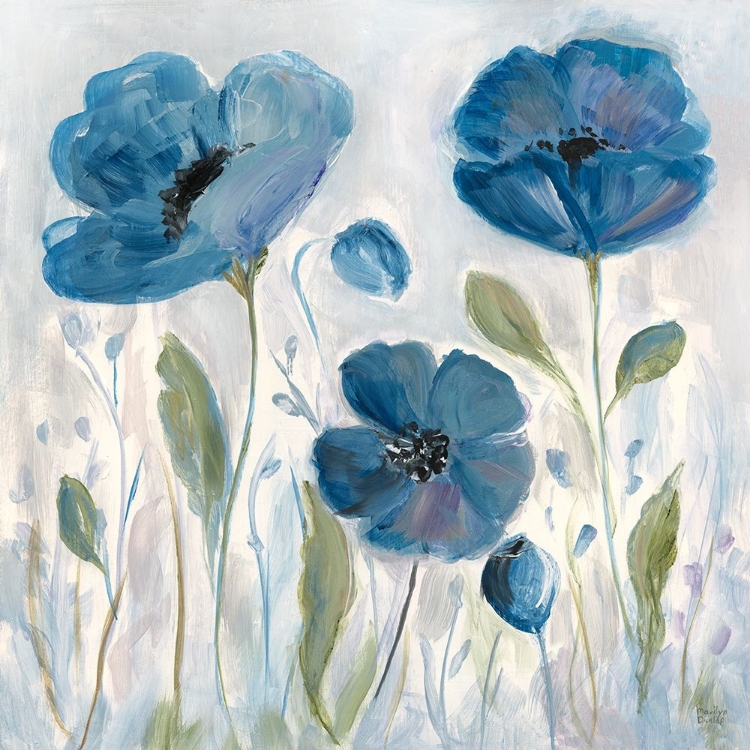 Picture of POPPY DANCE II