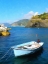 Picture of BLUE ROW BOAT ON ITALIAN RIVIERA