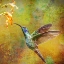 Picture of HUMMINGBIRD SIDE VIEW