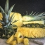 Picture of STILL LIFE PINEAPPLE