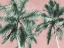 Picture of FUN PALMS