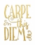 Picture of CARPE THIS DIEM