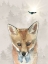 Picture of BABY BOY FOX