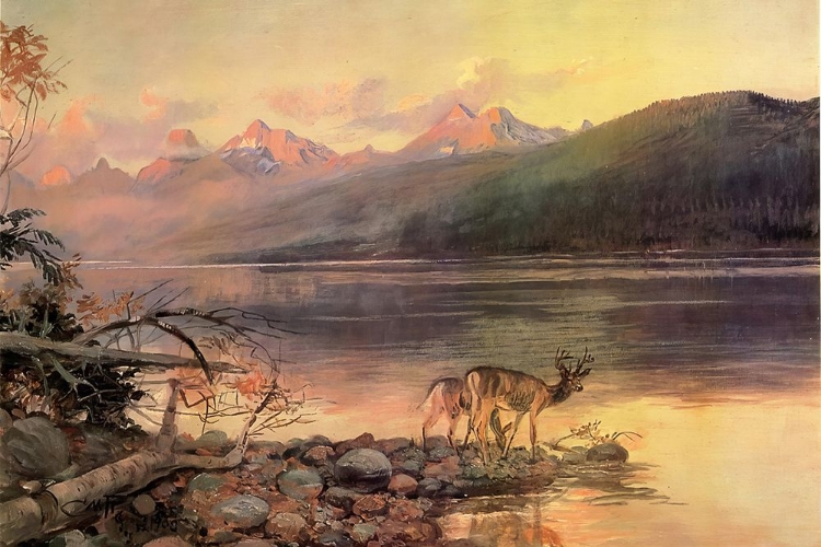 Picture of DEER AT LAKE MCDONALD 1908