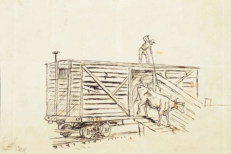 Picture of UNLOADING CATTLE FROM A RAILROAD STOCKCAR