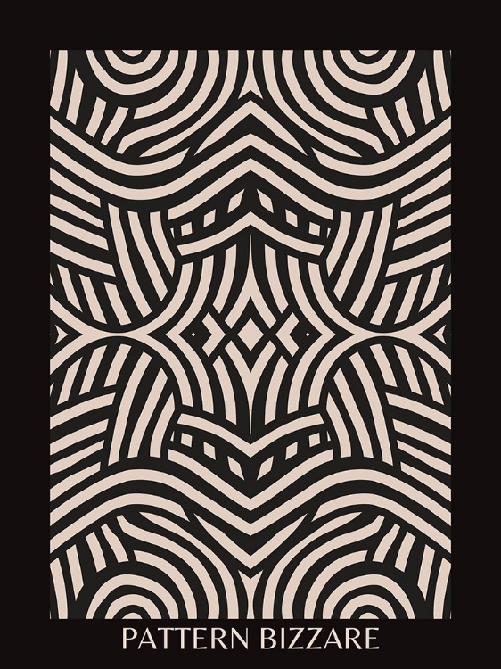 Picture of BLACK PATTERN BIZARRE 4