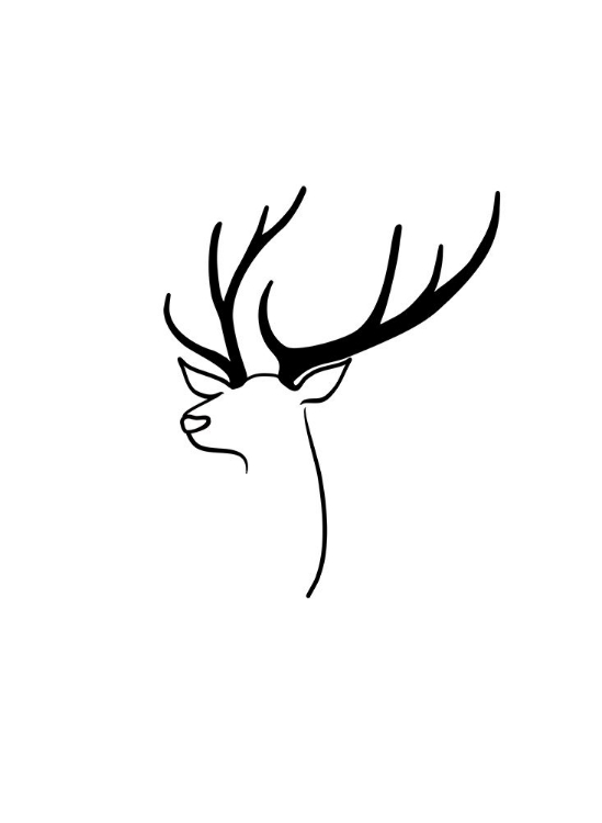 Picture of THE DEER