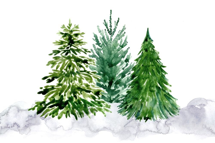 Picture of THREE WATERCOLOR PINE TREES