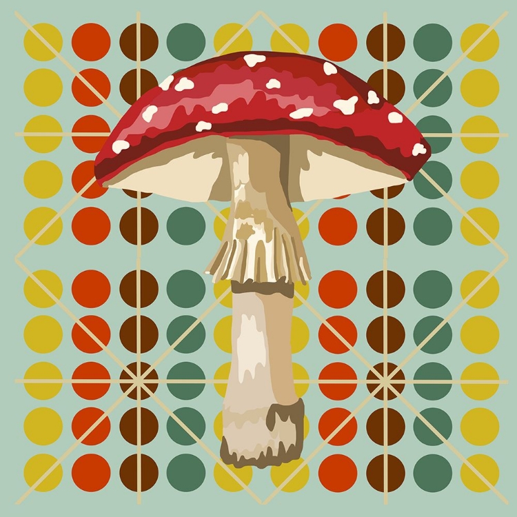 Picture of MUSHROOM