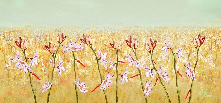 Picture of FIELD OF LILIES