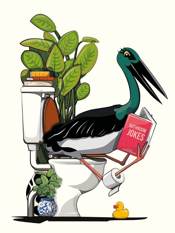 Picture of AUSTRALIAN BLACK STORK ON TOILET