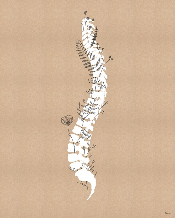 Picture of SPINE