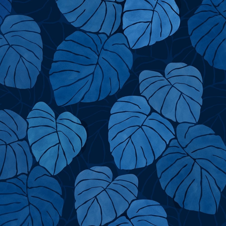 Picture of BLUE MONSTERA