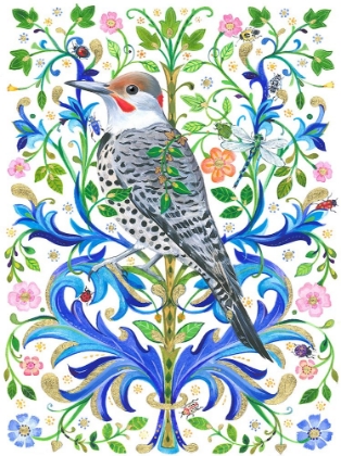 Picture of NORTHERN FLICKER
