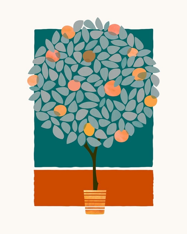 Picture of ORANGE TREE