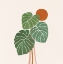 Picture of MONSTERA AND SUNSHINE 2 SQ