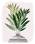 Picture of OLIVE BRANCHES