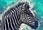 Picture of ZEBRA ANIMAL 1