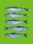 Picture of SARDINES LIME GREEN