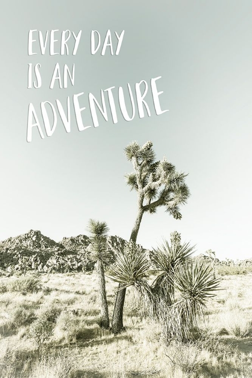 Picture of EVERY DAY IS AN ADVENTURE | DESERT IMPRESSION