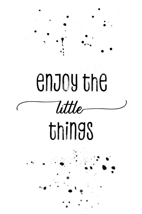 Picture of ENJOY THE LITTLE THINGS