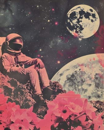 Picture of ASTRONAUT ART COLLAGE