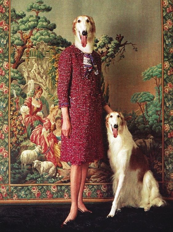 Picture of PORTRAIT - SALUKI