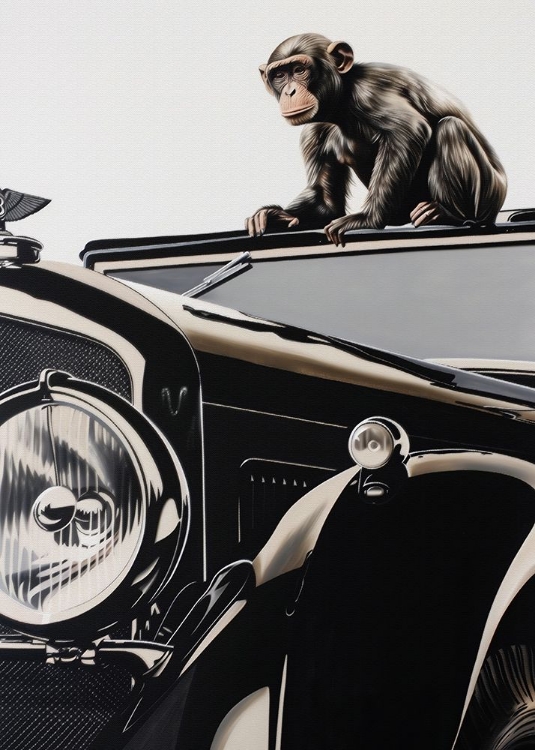 Picture of MONKEY AND THE BENTLEY