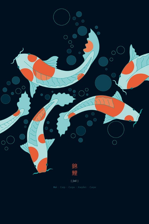 Picture of KOI CARPS