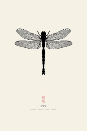 Picture of DRAGONFLY